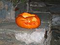 HALLOWEEN 2007